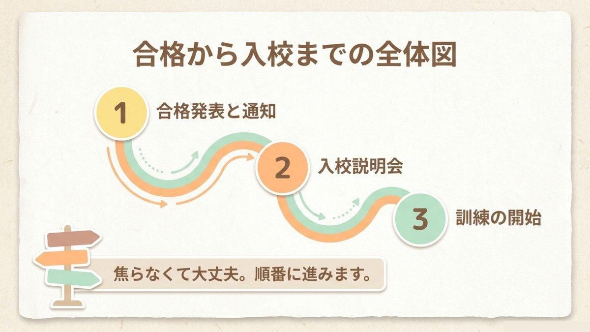 長期高度人材育成コースの合格から入校までの3ステップ(合格発表と通知・入校説明会・訓練の開始)を示す図