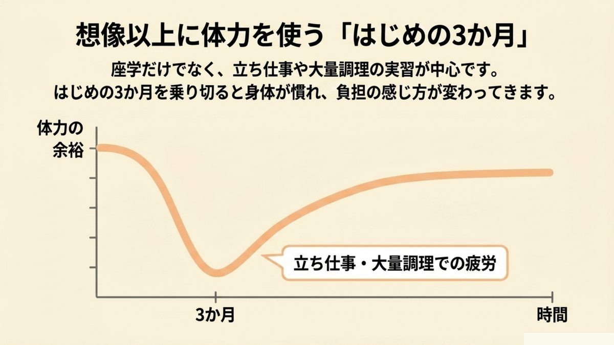 職業訓練の調理師コースは立ち仕事や大量調理の実習が中心で最初の3か月を乗り切ると身体が慣れ負担の感じ方が変わることを示すグラフ